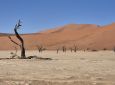 Namibia Roads: Mit dem 4×4 durch das wilde Paradies