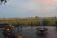 Safari Feeling
