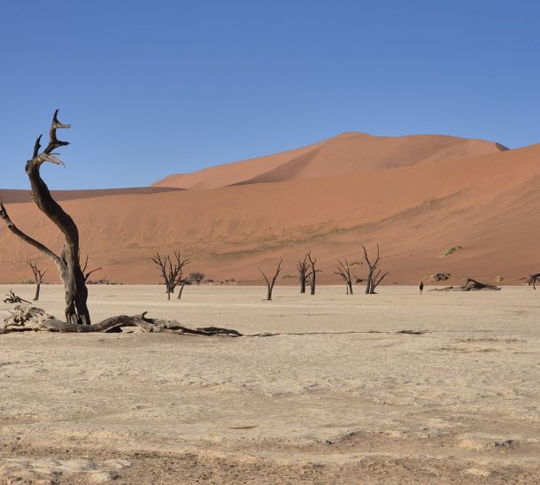 Namibia Roads: Mit dem 4×4 durch das wilde Paradies