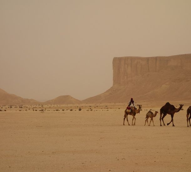 Rundreise durch Saudi-Arabien